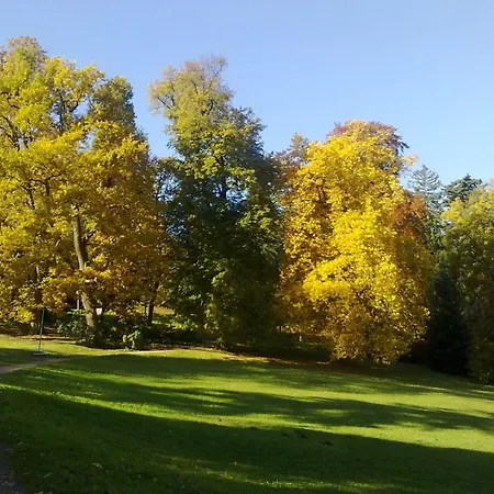 Apartment 4 Sterne Lind Badenweiler