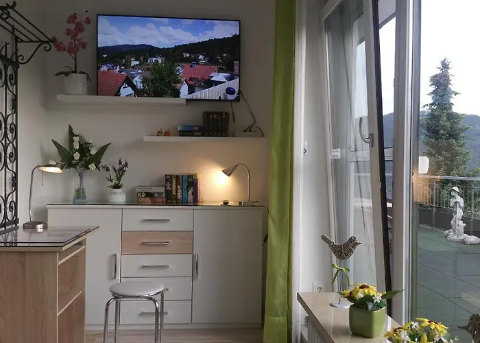 4 Sterne Lind Баденвайлер