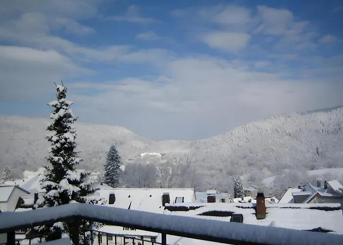 4 Sterne Lind Апартаменты Баденвайлер