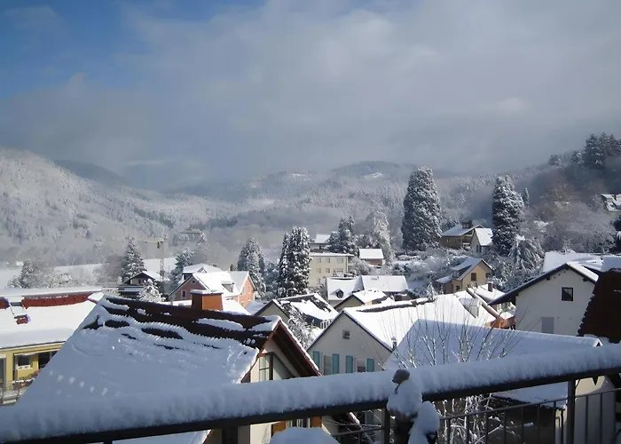 Апартаменты 4 Sterne Lind *